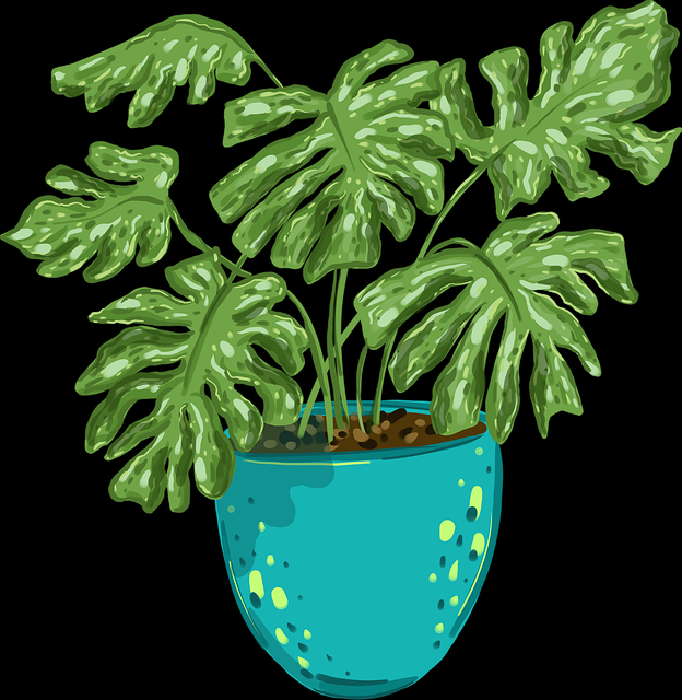 安全保障·91官网:全面解读界面设计亮点背后隐藏的秘密