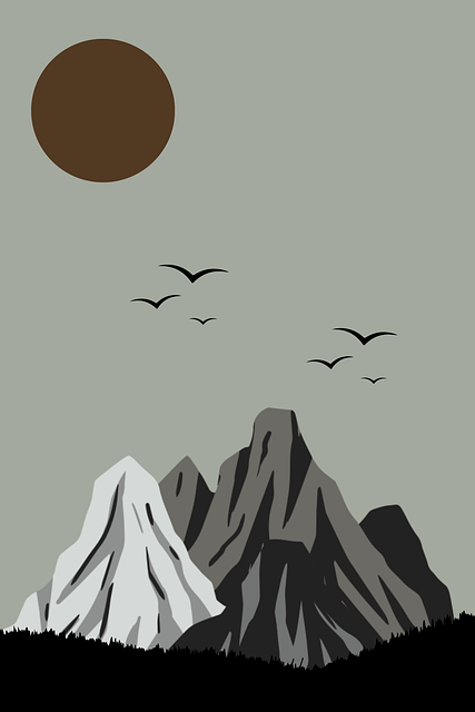 高清直播首发：每日大赛赛场赛事看点全流程直播解说