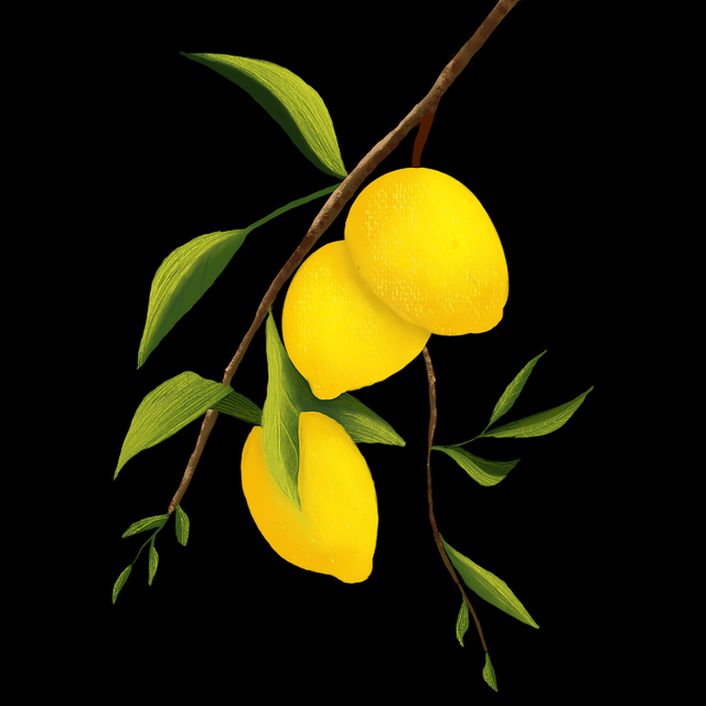 全面解读解密：黑料官网中不为人知的细节与用户增长秘诀核心方法