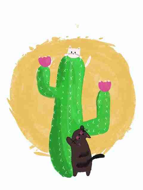 全面解读速览：微密圈官网入口最新页面布局解析与技术实现方案实用攻略