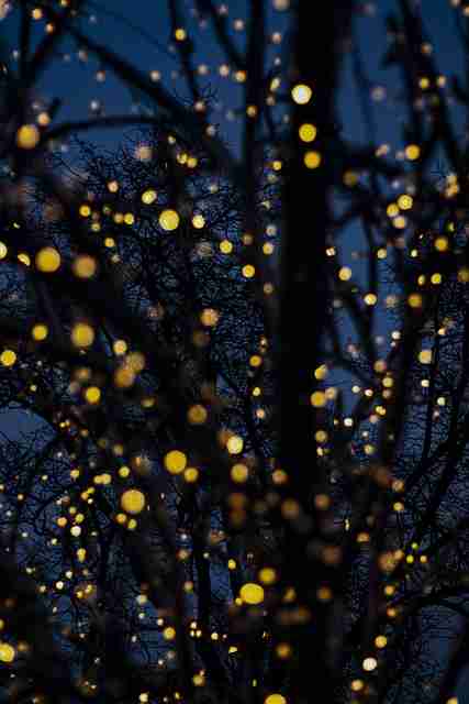 小白必看带你读懂91大事件隐私安全入门到精通